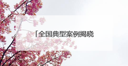 全国典型案例揭晓！平谷一例上榜