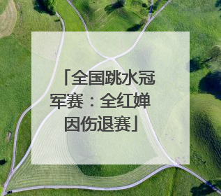 全国跳水冠军赛：全红婵因伤退赛