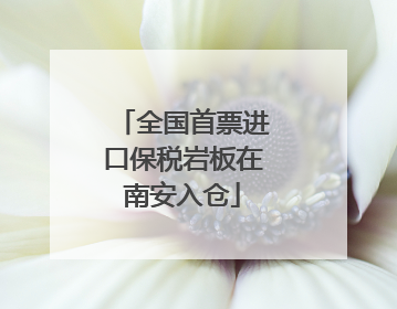 全国首票进口保税岩板在南安入仓