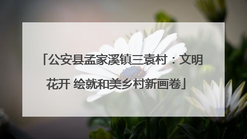 公安县孟家溪镇三袁村：文明花开 绘就和美乡村新画卷