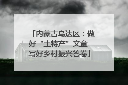 内蒙古乌达区：做好“土特产”文章 写好乡村振兴答卷