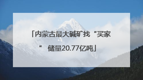 内蒙古最大碱矿找“买家” 储量20.77亿吨