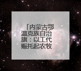 内蒙古鄂温克族自治旗：以工代赈托起农牧民增收梦
