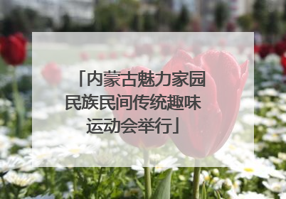 内蒙古魅力家园民族民间传统趣味运动会举行