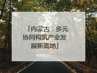 内蒙古：多元协同构筑产业发展新高地