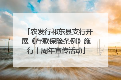 农发行祁东县支行开展《存款保险条例》施行十周年宣传活动