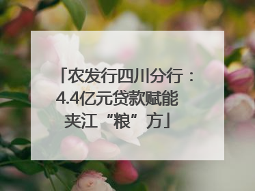 农发行四川分行：4.4亿元贷款赋能夹江“粮”方