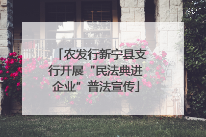 农发行新宁县支行开展“民法典进企业”普法宣传