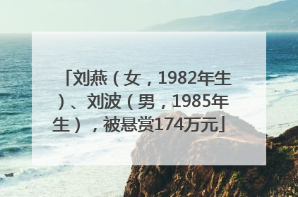 刘燕（女，1982年生）、刘波（男，1985年生），被悬赏174万元