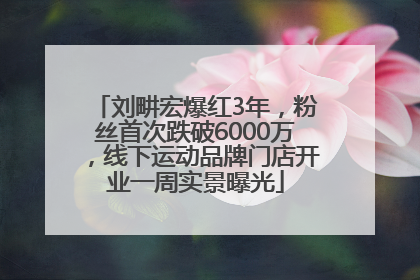 刘畊宏爆红3年，粉丝首次跌破6000万，线下运动品牌门店开业一周实景曝光