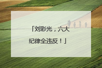 刘彩光，六大纪律全违反！