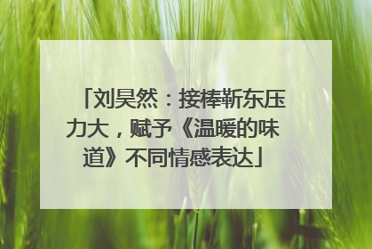 刘昊然：接棒靳东压力大，赋予《温暖的味道》不同情感表达