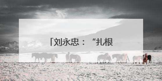 刘永忠：“扎根”一线守初心 执行力就是战斗力