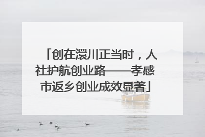 创在澴川正当时，人社护航创业路——孝感市返乡创业成效显著