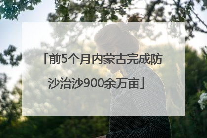 前5个月内蒙古完成防沙治沙900余万亩