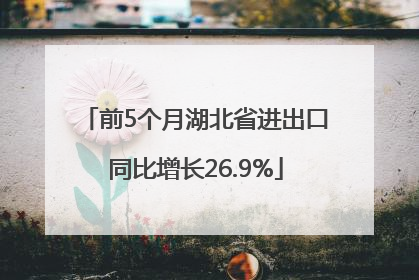前5个月湖北省进出口同比增长26.9%