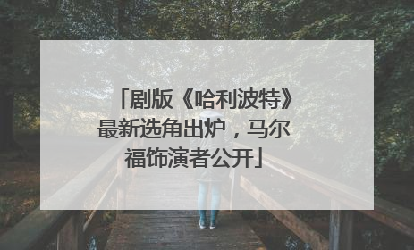 剧版《哈利波特》最新选角出炉，马尔福饰演者公开