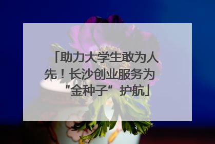 助力大学生敢为人先！长沙创业服务为“金种子”护航
