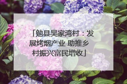 勉县吴家湾村：发展烤烟产业 助推乡村振兴富民增收