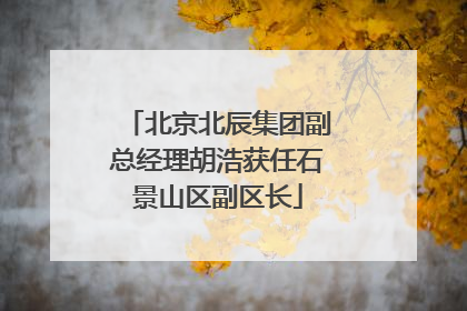 北京北辰集团副总经理胡浩获任石景山区副区长