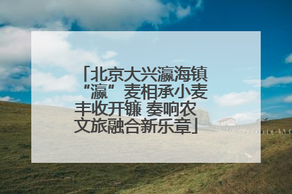 北京大兴瀛海镇“瀛”麦相承小麦丰收开镰 奏响农文旅融合新乐章