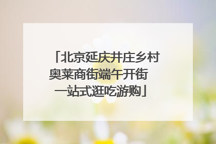 北京延庆井庄乡村奥莱商街端午开街 一站式逛吃游购