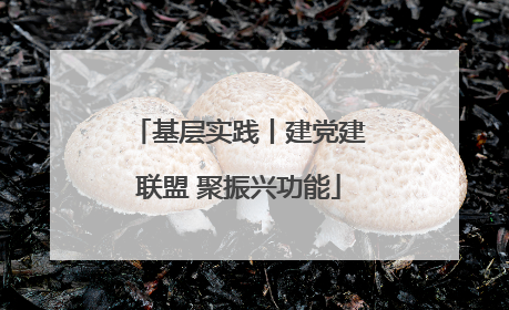 基层实践丨建党建联盟 聚振兴功能