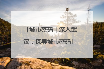 城市密码｜深入武汉，探寻城市密码