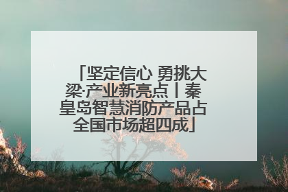 坚定信心 勇挑大梁·产业新亮点丨秦皇岛智慧消防产品占全国市场超四成