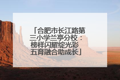 合肥市长江路第三小学兰亭分校：榜样闪耀绽光彩 五育融合助成长