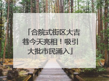 合院式街区大吉巷今天亮相！吸引大批市民涌入