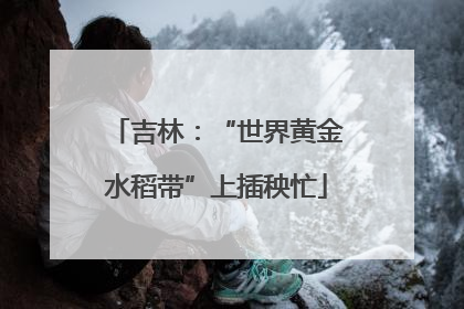 吉林：“世界黄金水稻带”上插秧忙
