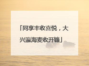 同享丰收喜悦，大兴瀛海麦收开镰