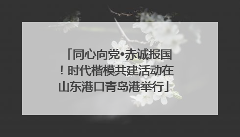 同心向党•赤诚报国！时代楷模共建活动在山东港口青岛港举行