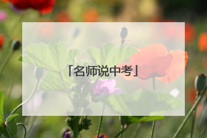 名师说中考