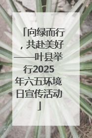 向绿而行，共赴美好——叶县举行2025年六五环境日宣传活动