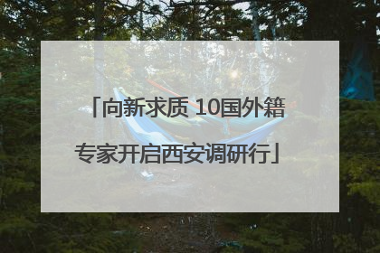 向新求质 10国外籍专家开启西安调研行