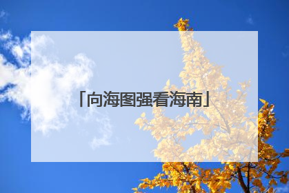 向海图强看海南