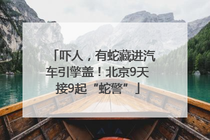 吓人，有蛇藏进汽车引擎盖！北京9天接9起“蛇警”