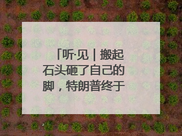 听·见｜搬起石头砸了自己的脚，特朗普终于“慌”了！