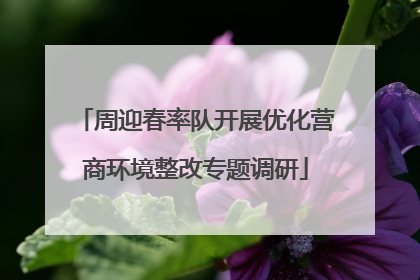 周迎春率队开展优化营商环境整改专题调研