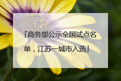 商务部公示全国试点名单，江苏一城市入选
