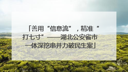 善用“信息流”，精准“打七寸”——湖北公安省市一体深挖串并力破民生案