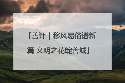 善评｜移风易俗谱新篇 文明之花绽善城