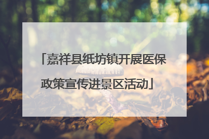 嘉祥县纸坊镇开展医保政策宣传进景区活动
