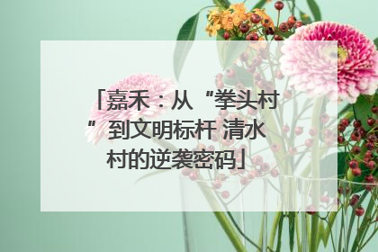 嘉禾：从“拳头村”到文明标杆 清水村的逆袭密码