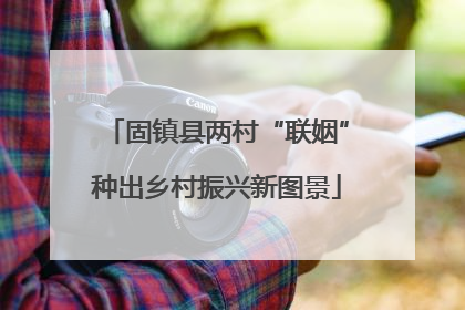 固镇县两村“联姻”种出乡村振兴新图景