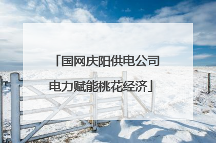 国网庆阳供电公司电力赋能桃花经济