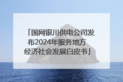 国网银川供电公司发布2024年服务地方经济社会发展白皮书