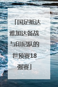 国足抵达雅加达备战与印尼队的世预赛18强赛